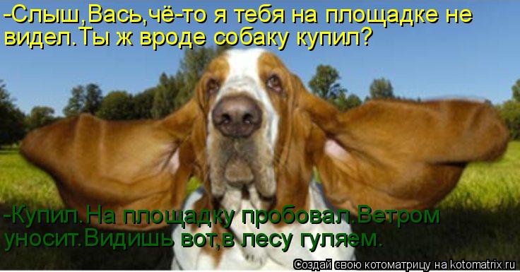 -Слыш,Вась,чё-то я тебя на площадке не видел.Ты ж вроде собаку купил? -Купил.На площадку пробовал.Вет... Котоматрица: -Слыш,Вась,чё-то я тебя на площадке не видел.Ты ж вроде собаку купил? -Купил.На площадку пробовал.Ветром уносит.Видишь вот,в лесу гуляем.