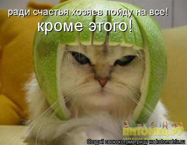Котоматрица: ради счастья хозяев пойду на все! кроме этого!