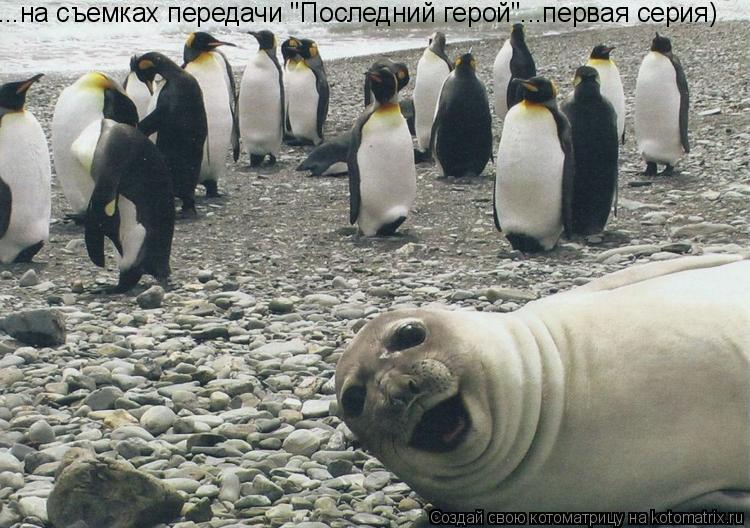 Котоматрица: ...на съемках передачи "Последний герой"...первая серия)