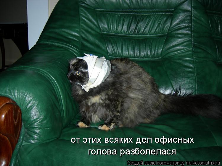 Котоматрица: от этих всяких дел офисных голова разболелася