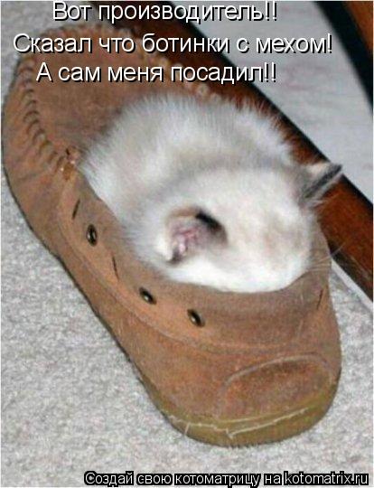 Котоматрица: Вот производитель!! Сказал что ботинки с мехом! А сам меня посадил!!