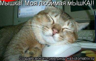 Котоматрица: Мышка! Моя любимая мЫшКА!!