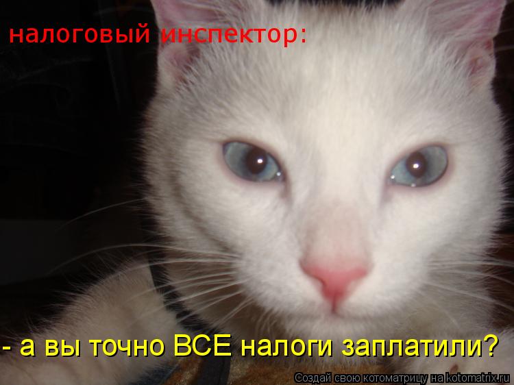 налоговый инспектор: - а вы точно ВСЕ налоги заплатили?... Котоматрица: налоговый инспектор: - а вы точно ВСЕ налоги заплатили?