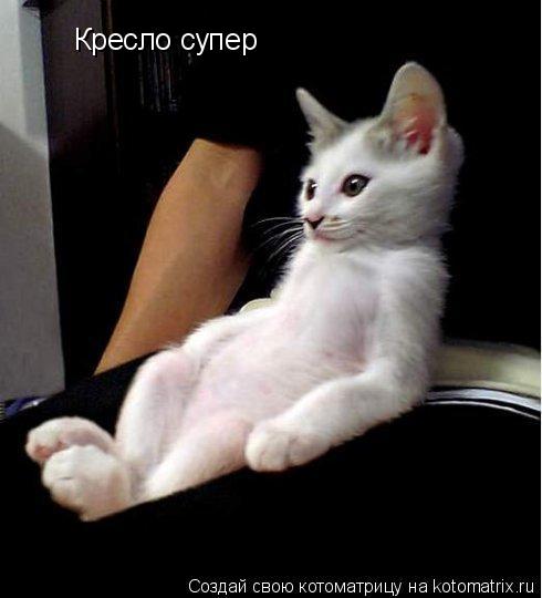 Кресло супер... Котоматрица: Кресло супер