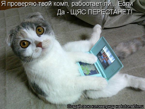 Котоматрица: Я проверяю твой комп, рабоотает ли... Если  Да - ЩЯС ПЕРЕСТАНЕТ!