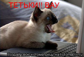Котоматрица: ТЕТЬКИ!! ВАУ ТЕТЬКИ!! ВАУ