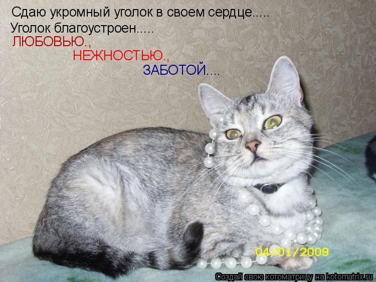 Котоматрица: Уголок благоустроен..... ЛЮБОВЬЮ., НЕЖНОСТЬЮ., ЗАБОТОЙ.... Сдаю укромный уголок в своем сердце.....