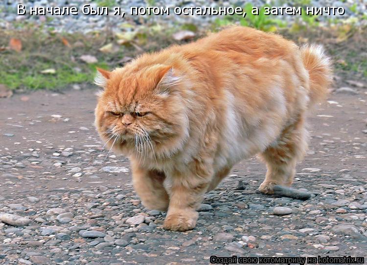 Котоматрица: В начале был я, потом остальное, а затем ничто