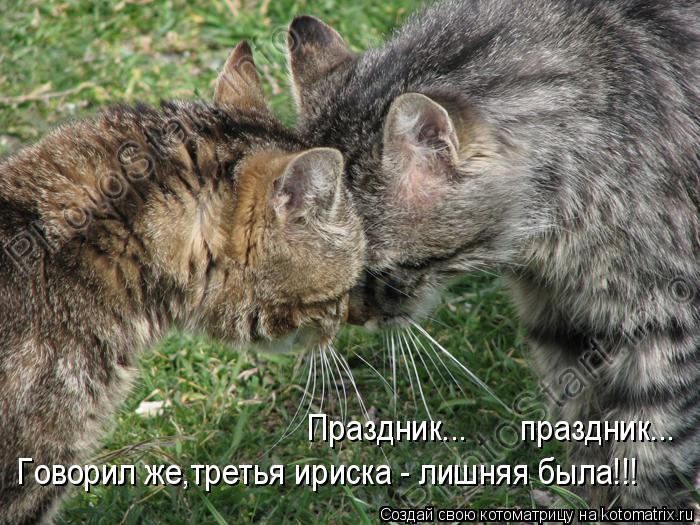 Праздник... праздник... Говорил же,третья ириска - лишняя была!!!... Котоматрица: Праздник... праздник... Говорил же,третья ириска - лишняя была!!!