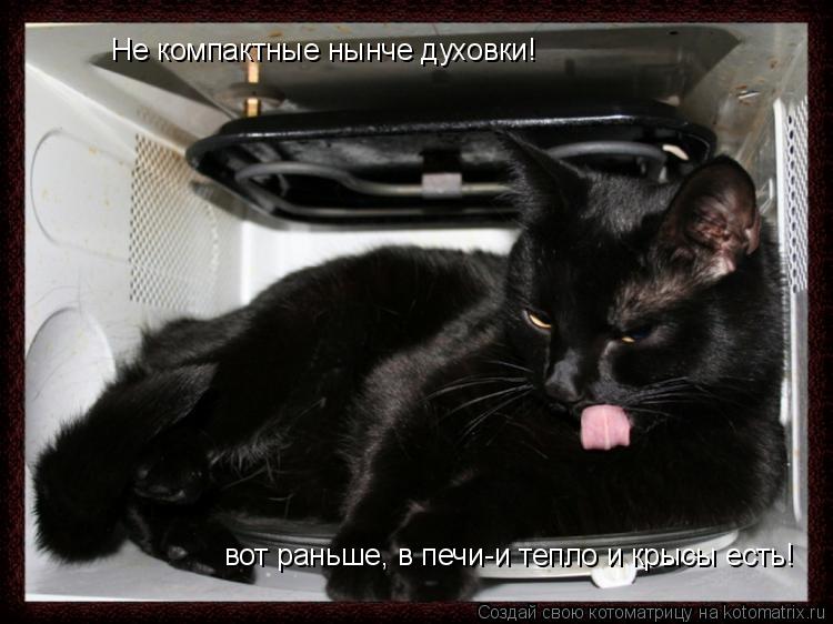 Котоматрица: Не компактные нынче духовки! вот раньше, в печи-и тепло и крысы есть!