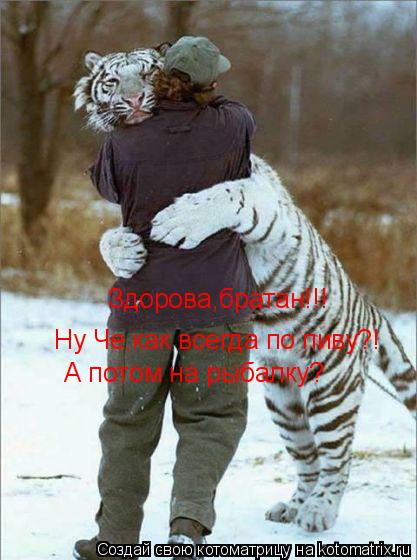 Котоматрица: Здорова,братан!!! Ну Че,как всегда по пиву?! А потом на рыбалку?