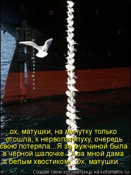 Котоматрица: ...ох, матушки, на минутку только отошла, к нервопатолуху, очередь свою потеряла...Я за мужчиной была в чёрной шапочке...А за мной дама с белым х