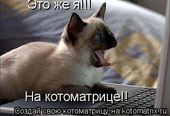 Котоматрица: Это же я!!!  На котоматрице!!