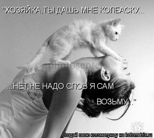 Котоматрица: "ХОЗЯЙКА,ТЫ ДАШЬ МНЕ КОЛБАСКУ... ...НЕТ,НЕ НАДО СЛОВ Я САМ  ВОЗЬМУ..."