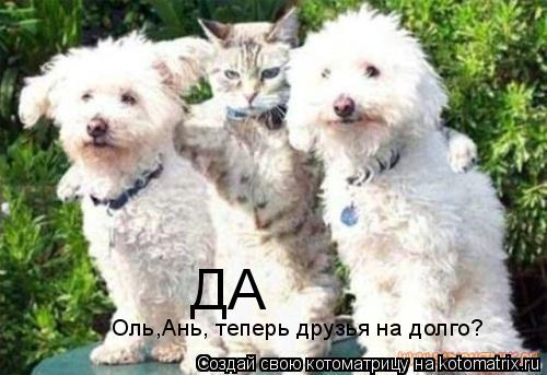 Котоматрица: Оль,Ань, теперь друзья на долго? ДА