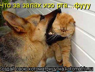 Котоматрица: Что за запах изо рта...фууу