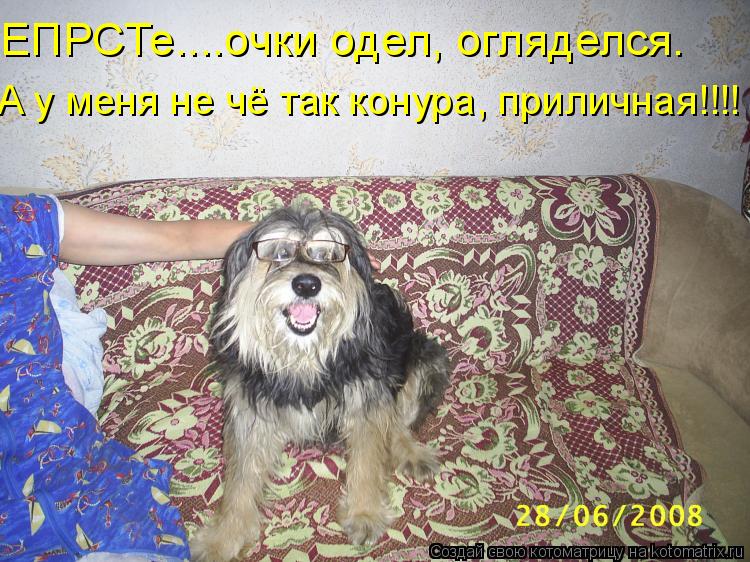ЕПРСТе....очки одел, огляделся. А у меня не чё так конура, приличная!!!!... Котоматрица: ЕПРСТе....очки одел, огляделся. А у меня не чё так конура, приличная!!!!