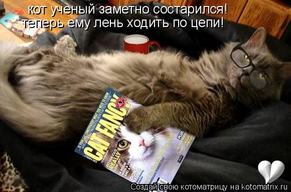 кот ученый заметно состарился! теперь ему лень ходить по цепи!... Котоматрица: кот ученый заметно состарился! теперь ему лень ходить по цепи!