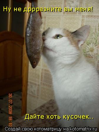 Котоматрица: Ну не дррразните вы меня! Дайте хоть кусочек..