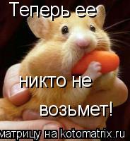 Котоматрица: Теперь ее  никто не  возьмет!