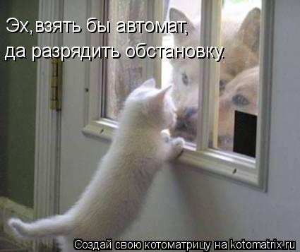 Эх,взять бы автомат, да разрядить обстановку.... Котоматрица: Эх,взять бы автомат, да разрядить обстановку.