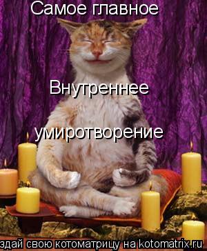 Котоматрица: Самое главное Внутреннее  умиротворение