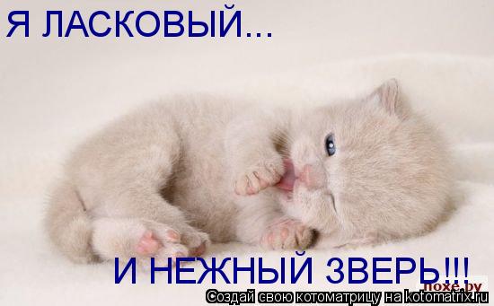 Котоматрица: Я ЛАСКОВЫЙ... И НЕЖНЫЙ ЗВЕРЬ!!!