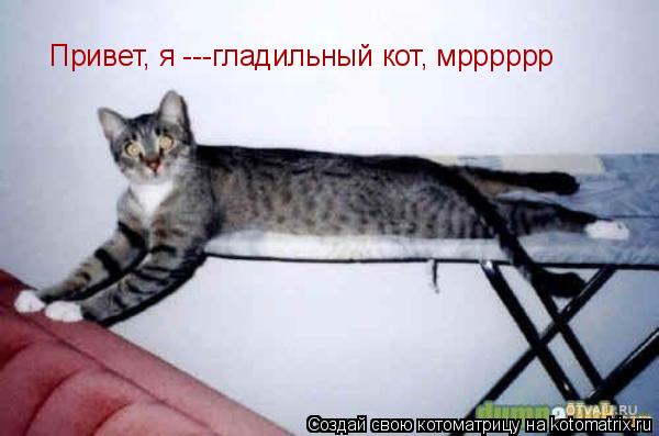 Котоматрица: Привет, я ---гладильный кот, мрррррр
