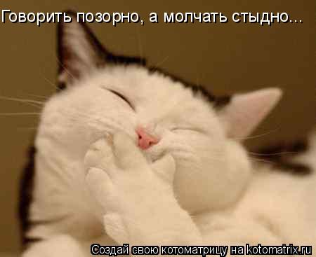 Котоматрица: Говорить позорно, а молчать стыдно...