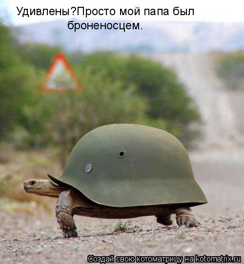 Котоматрица: Удивлены?Просто мой папа был  броненосцем.