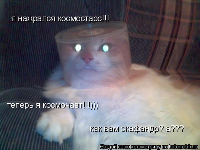 я нажрался космостарс!!! теперь я космонавт!!!))) как вам скафандр? а???... Котоматрица: я нажрался космостарс!!! теперь я космонавт!!!))) как вам скафандр? а???