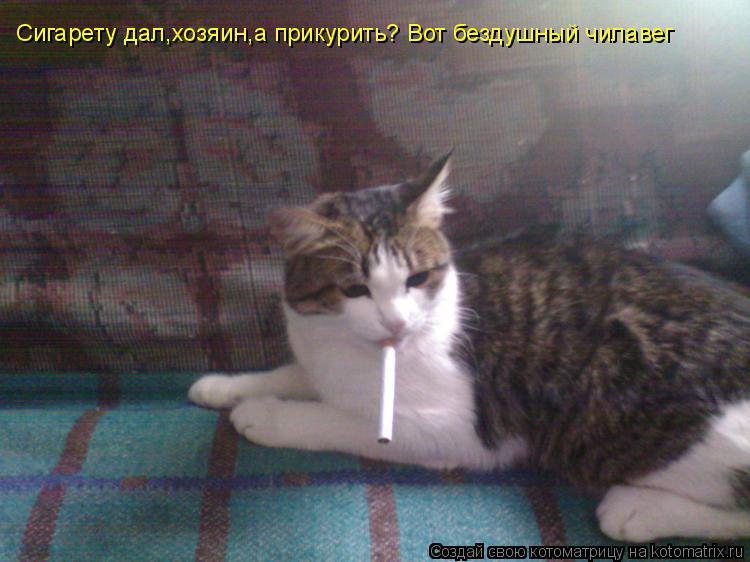 Котоматрица: Сигарету дал,хозяин,а прикурить? Вот бездушный чилавег