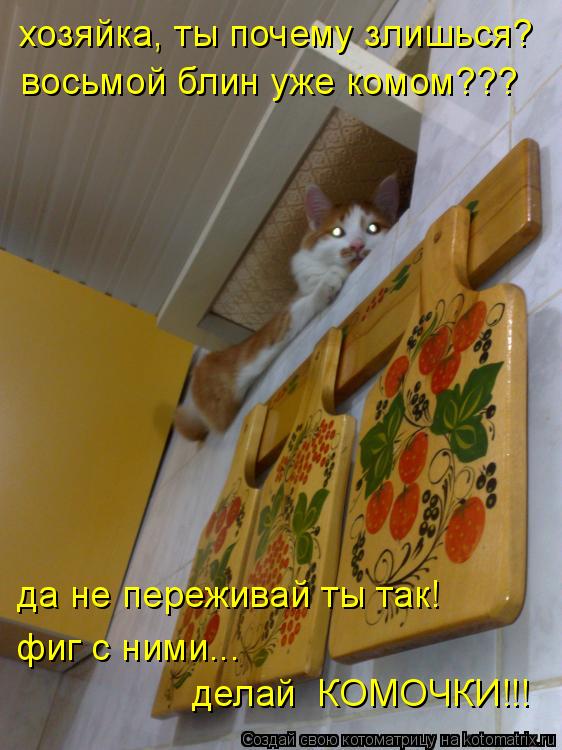 делай КОМОЧКИ!!! фиг с ними... восьмой блин уже комом??? хозяйка, ты почему злишься? да не переживай... Котоматрица: делай КОМОЧКИ!!! фиг с ними... восьмой блин уже комом??? хозяйка, ты почему злишься? да не переживай ты так!