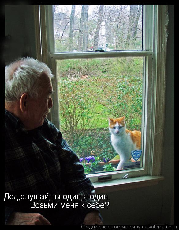 Котоматрица: Дед,слушай,ты один,я один. Возьми меня к себе?