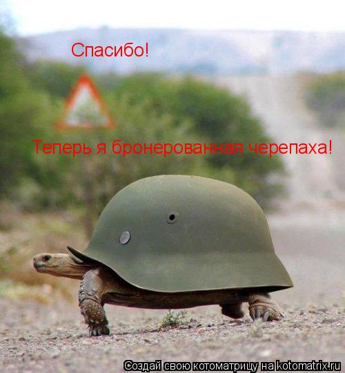 Котоматрица: Спасибо! Теперь я бронерованная черепаха!
