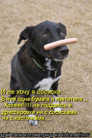 И не хочу я сосиски..... В ней одна бумага и красители.... Хозяин!!!!!,не поддаюсь я дрессировке ни с... Котоматрица: И не хочу я сосиски..... В ней одна бумага и красители.... Хозяин!!!!!,не поддаюсь я дрессировке ни с сосисками, ни с косточками....
