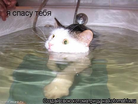 Котоматрица: я спасу тебя
