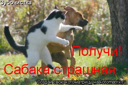 Котоматрица: Зубочистка Получи! Сабака страшная.