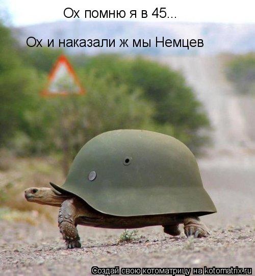 Котоматрица: Ох помню я в 45...  Ох и наказали ж мы Немцев
