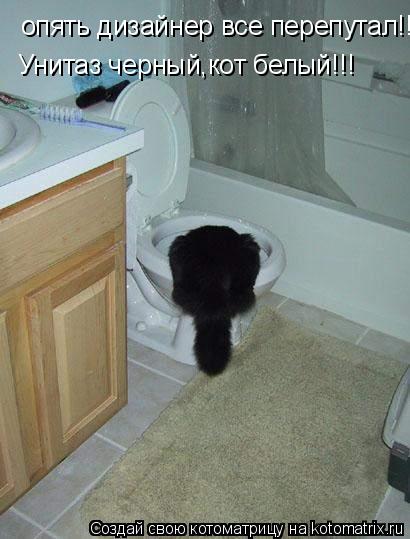 опять дизайнер все перепутал!!! Унитаз черный,кот белый!!!... Котоматрица: опять дизайнер все перепутал!!! Унитаз черный,кот белый!!!