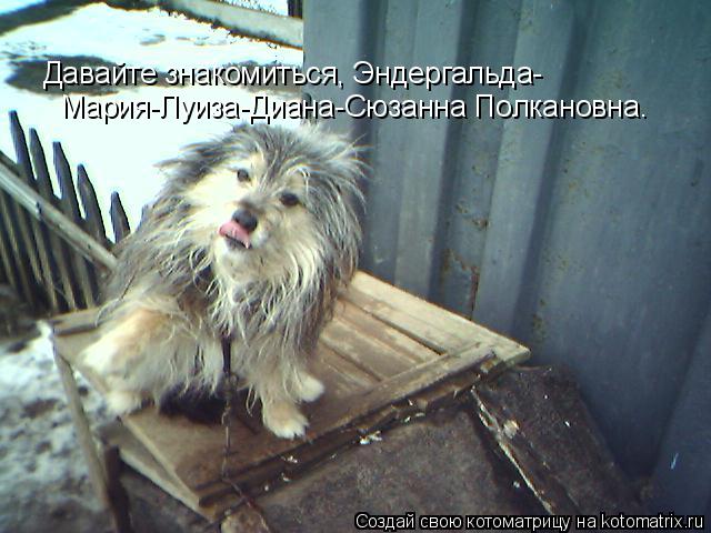 Котоматрица: Давайте знакомиться, Эндергальда- Мария-Луиза-Диана-Сюзанна Полкановна.