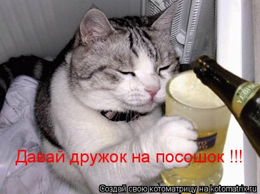 Давай дружок на посошок !!!... Котоматрица: Давай дружок на посошок !!!
