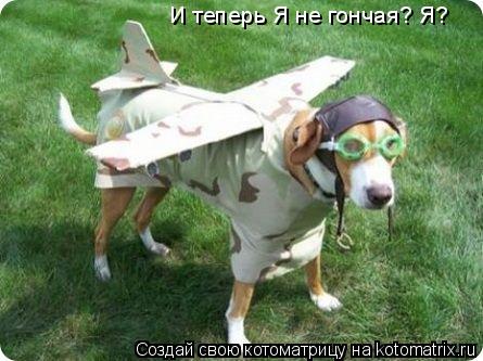 Котоматрица: И теперь Я не гончая? Я?