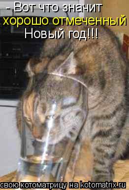 Котоматрица: - Вот что значит  Новый год!!! хорошо отмеченный