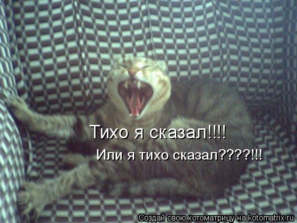 Котоматрица: Тихо я сказал!!!! Или я тихо сказал????!!!