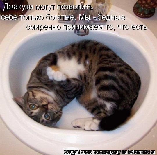 Джакузи могут позволить себе только богатые. Мы - бедные смиренно принимаем то, что есть... Котоматрица: Джакузи могут позволить себе только богатые. Мы - бедные смиренно принимаем то, что есть