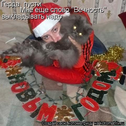 Котоматрица: Герда, пусти.  Мне еще слово "Вечность"  выкладывать надо