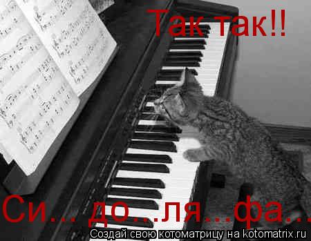 Котоматрица: Так так!!  Си... до...ля...фа...
