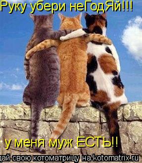 Котоматрица: Руку убери неГодЯй!!! у меня муж ЕСТЬ!!