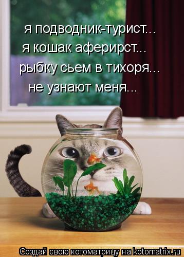 я подводник-турист... я кошак аферирст... рыбку сьем в тихоря... не узнают меня...... Котоматрица: я подводник-турист... я кошак аферирст... рыбку сьем в тихоря... не узнают меня...